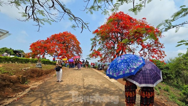 Дьенбьенфу лидирует по числу поисковых запросов в сфере туризма