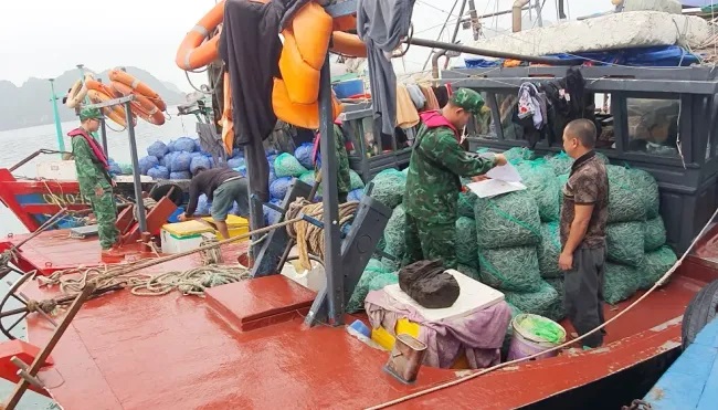 С 1 августа ужесточается наказание за нарушения в сфере рыбного промысла