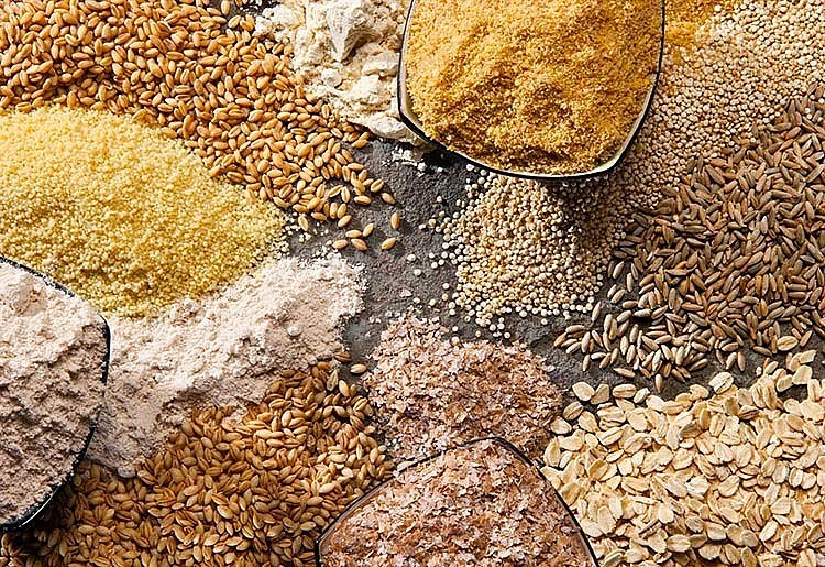 Аргентина является ведущим рынком поставок кормов для животных во Вьетнам