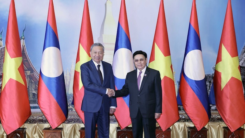 Президент То Лам принял председателя Национальной ассамблеи НА Лаоса