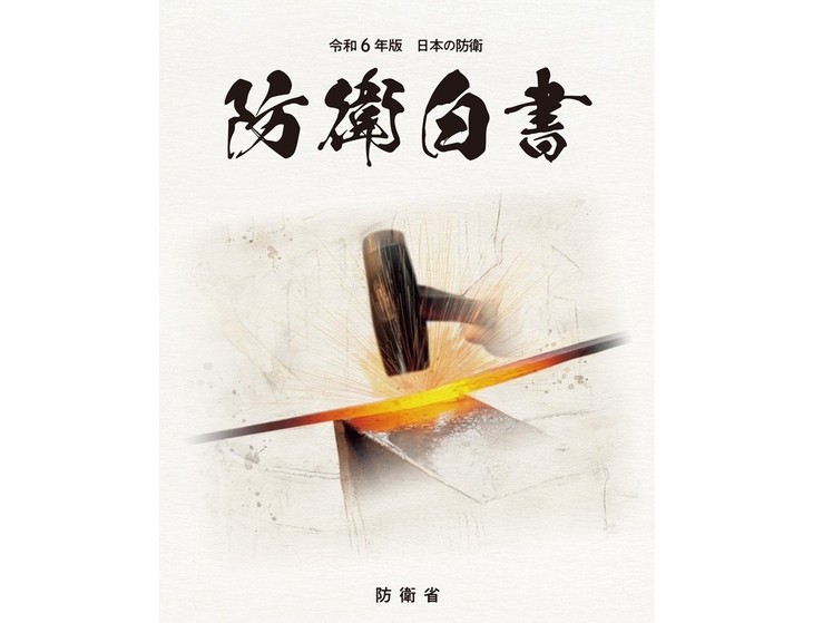 В «Белой книге Японии по обороне 2024» отмечается сотрудничество с Вьетнамом