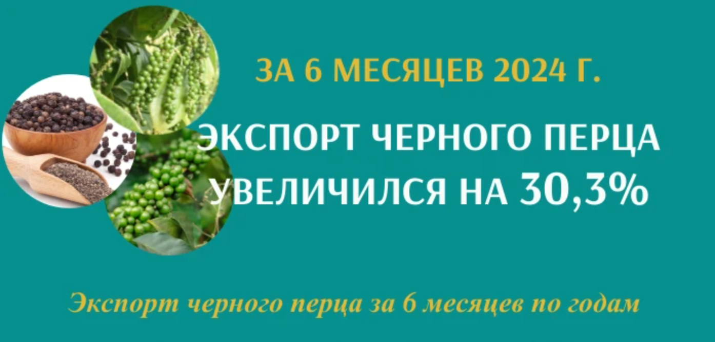 За первые 6 месяцев 2024 года экспорт черного перца увеличился на 30,3