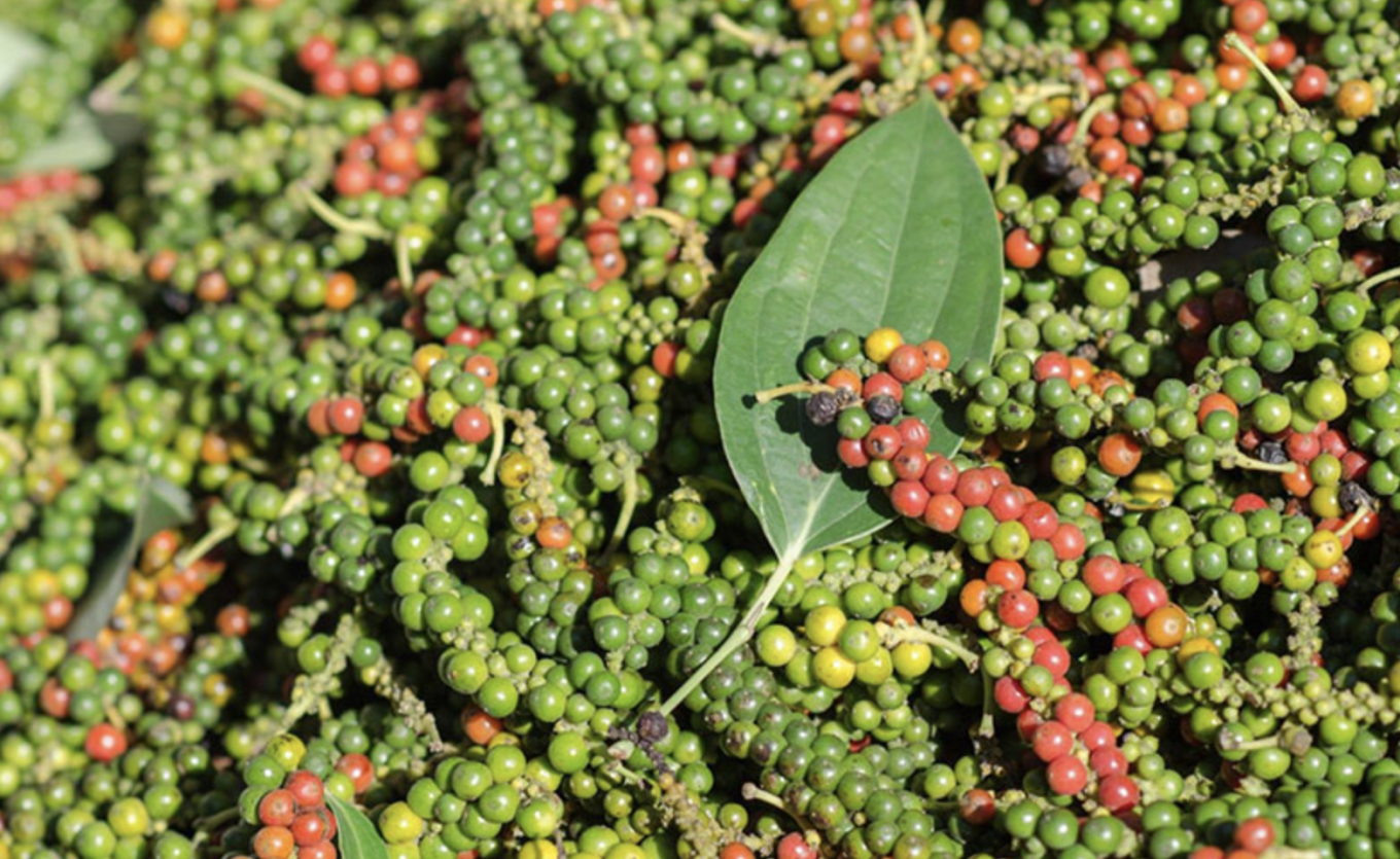 Экспорт куркумы, чеснока и имбиря стремительно растет