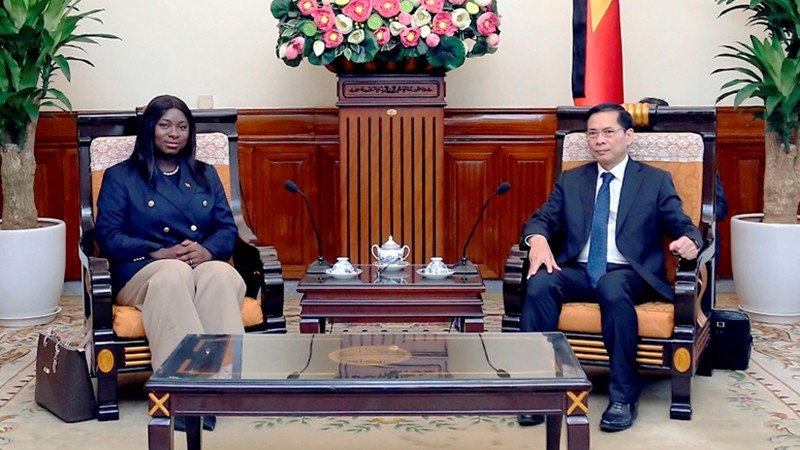 Министр иностранных дел Буй Тхань Шон принял государственного секретаря Министерства иностранных дел Гвинеи - Бисау