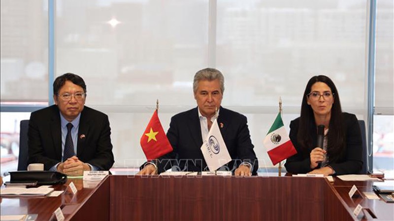 Укрепление двусторонних торговых отношений между Вьетнамом и Мексикой