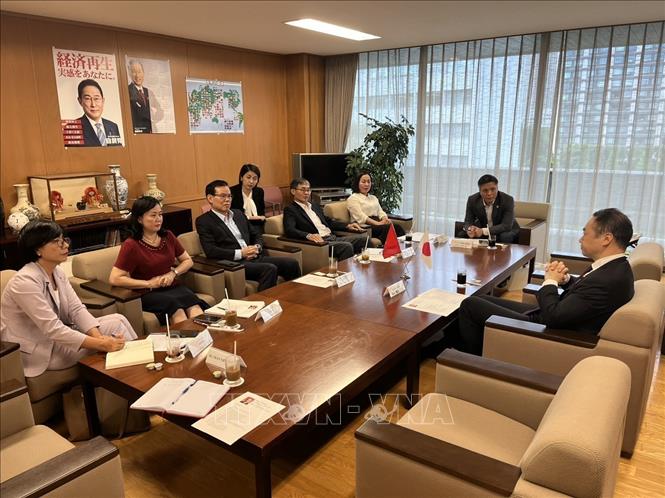 Содействие сотрудничеству и дальнейшему продвижению вклада вьетнамского сообщества в Японии