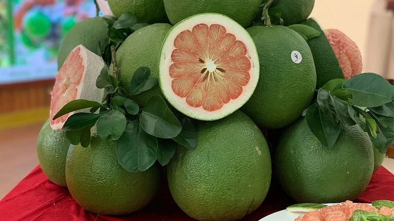 Вьетнамский грейпфрут официально получил разрешение для экспорта в Южную Корею