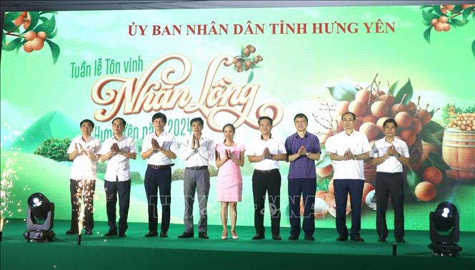 Открылась Неделя лонгана Хынгиен 2024