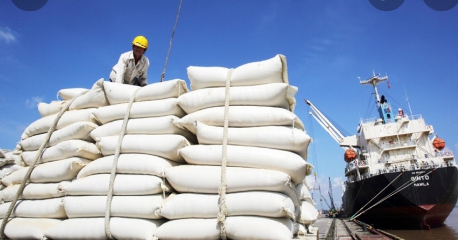 Объем экспорта вьетнамского риса в Украину увеличился почти в 40 раз