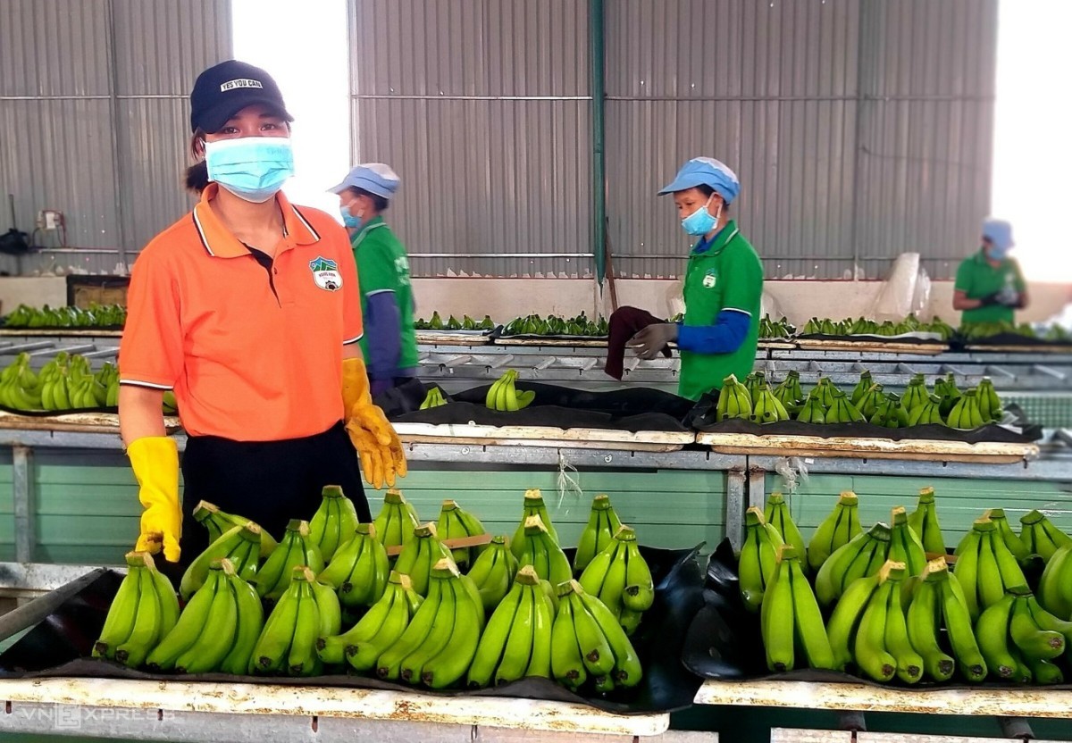 Южная Корея - второй по величине экспортный рынок фруктов и овощей Вьетнама