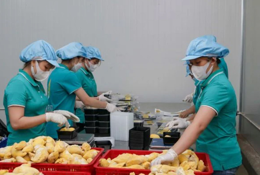 Перспективы экспорта трех видов продуктов в Китай по договорам