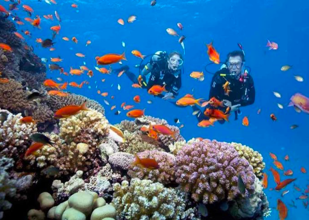 Нячанг входит в топ-5 самых красивых мест для дайвинга в Азии