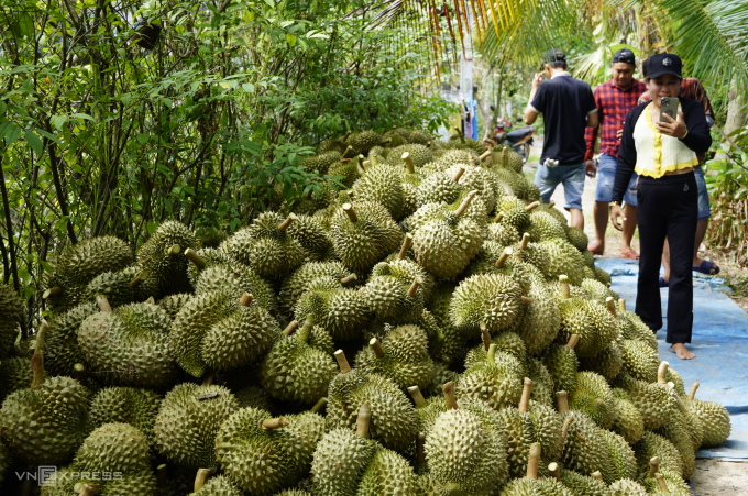 Экспорт вьетнамского дуриана достиг нового рекорда
