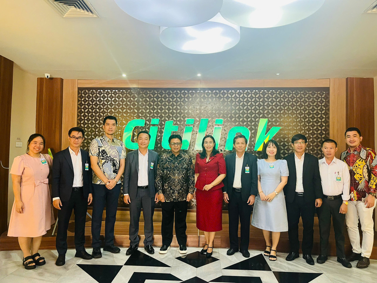 Открытие авиарейса, соединяющего город Дананг с четвертой по численности населения страной