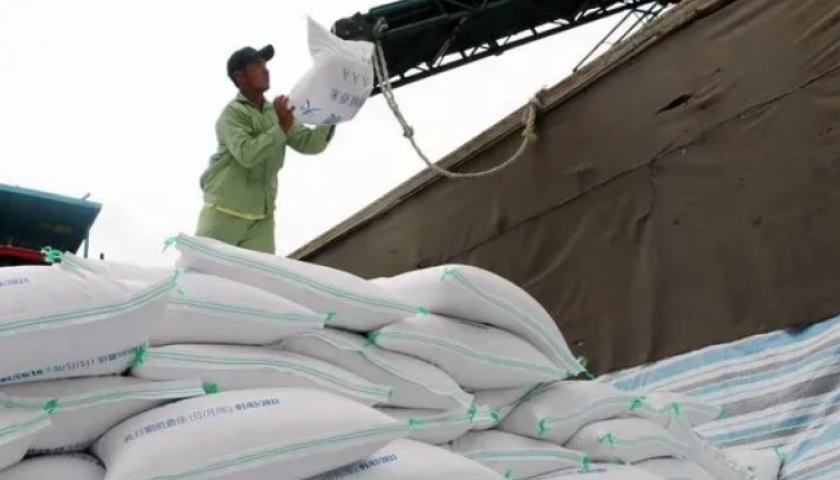 Экспорт вьетнамского риса может принести 5 млрд долларов