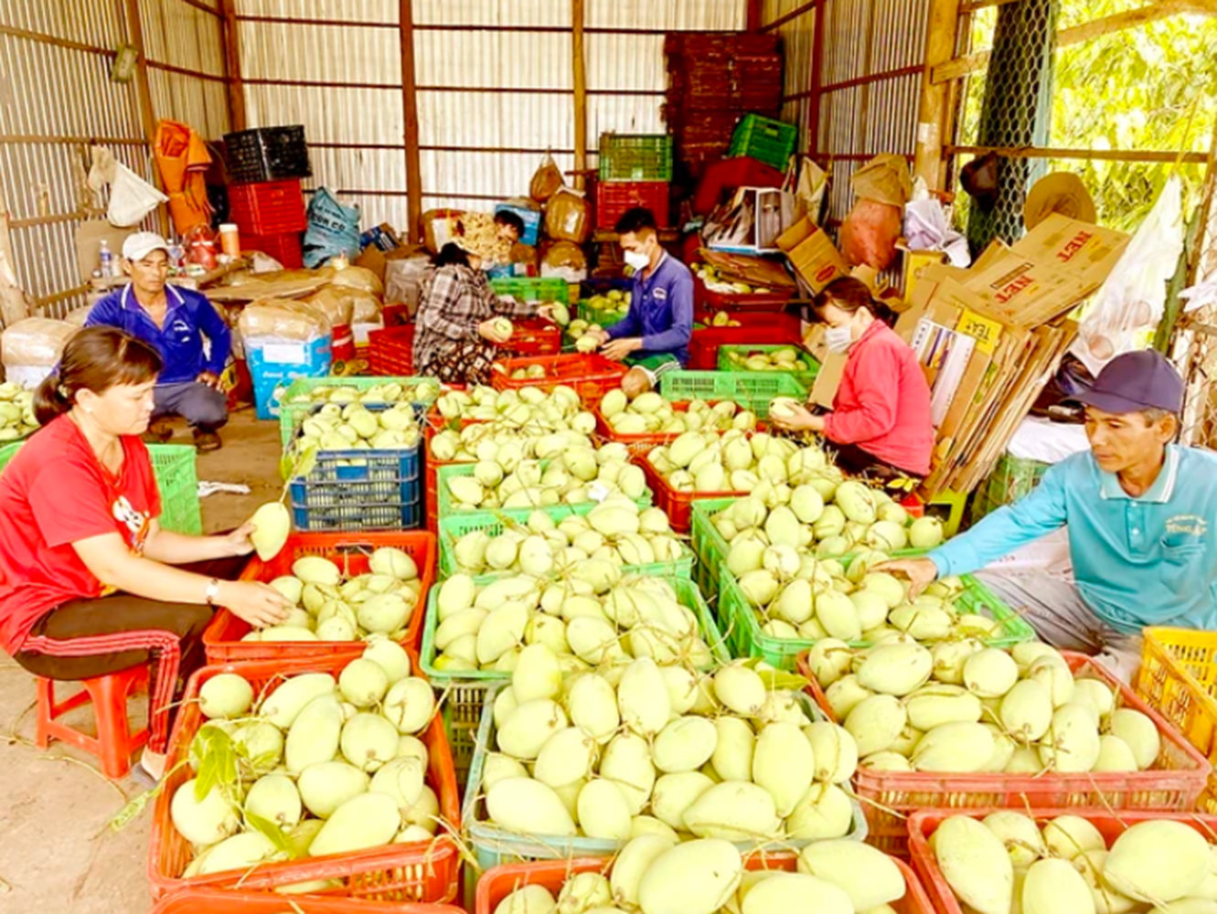 Вьетнамская продукция сельского, лесного и рыбного хозяйства завоевывает мировой рынок 30-летняя история успеха