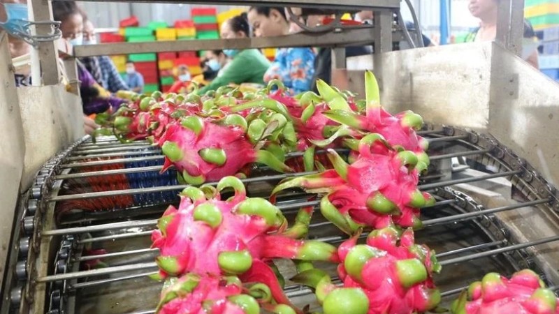 Вьетнамская продукция сельского, лесного и рыбного хозяйства завоевывает мировой рынок 30-летняя история успеха