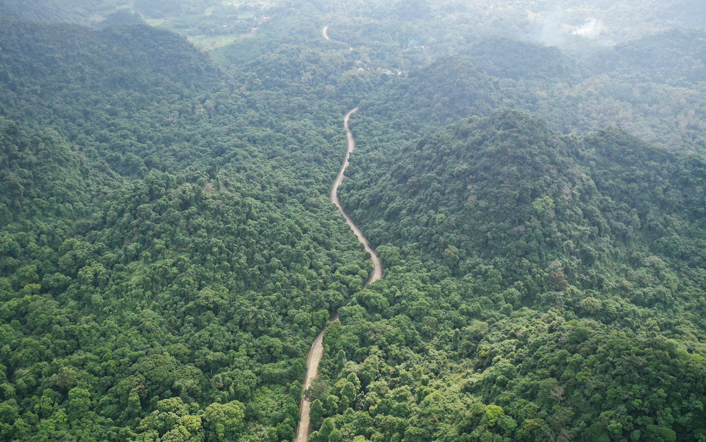 Кукфыонг – ведущий национальный парк Азии 2024 года