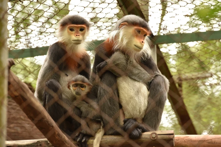 Кукфыонг назван лучшим национальным парком Азии 2024 года