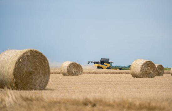 Вьетнам потратил более миллиардов долларов на покупку пшеницы