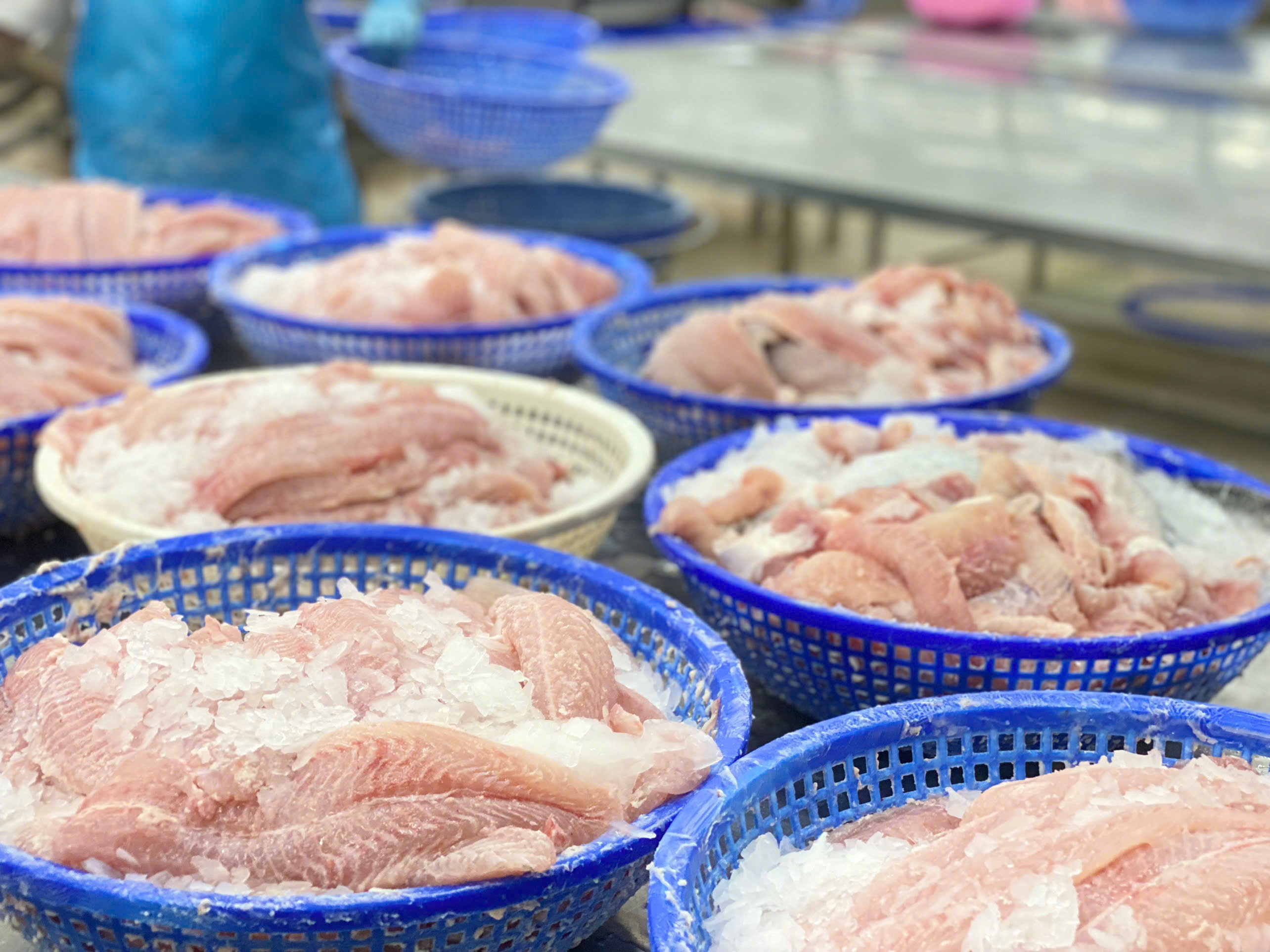 Экспорт пангасиуса в Китай и США продолжает восстановиться