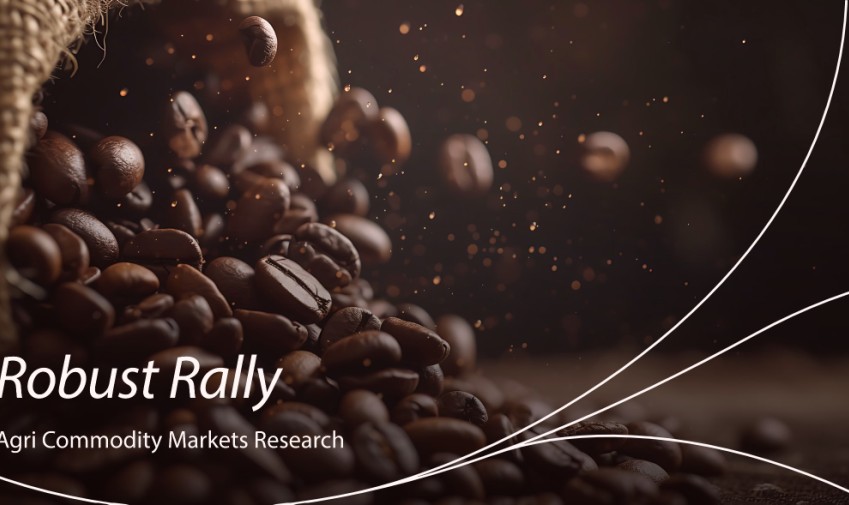 Цены на кофе робуста достигли нового рекордного уровня