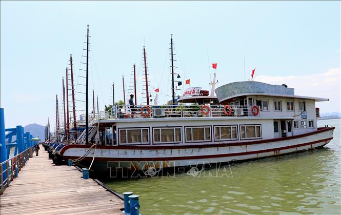 Город Халонг снова принимает туристов