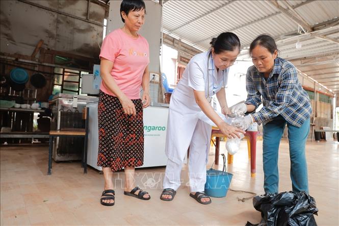 Посольство Ирландии заявило о поддержке усилий по преодолению последствий тайфуна Яги во Вьетнаме