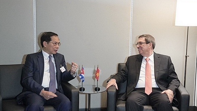 Вице-премьер, Министр иностранных дел Буй Тхань Шон провел двусторонние встречи в рамках 79-й сессии Генеральной Ассамблеи ООН