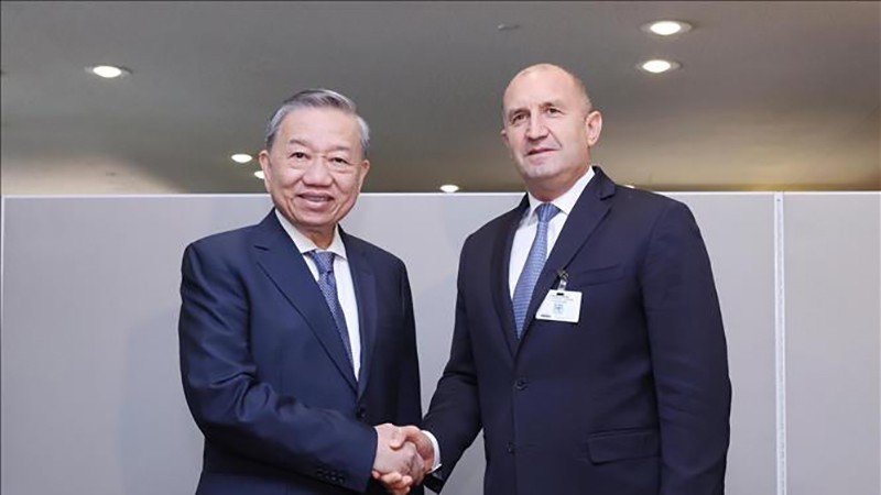 Генеральный секретарь ЦК КПВ, Президент Вьетнама встретился с руководителями некоторых стран