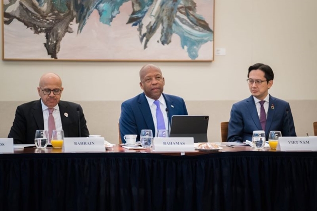 Заместитель министра иностранных дел До Хун Вьет принял участие в министерской конференции группы 3G