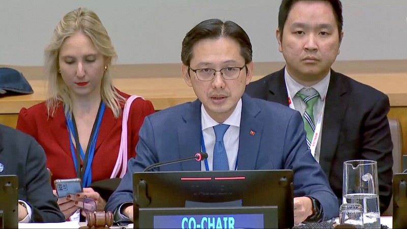 Вьетнам отметил важность комплексных, долгосрочных стратегий по реагированию на повышение уровня моря