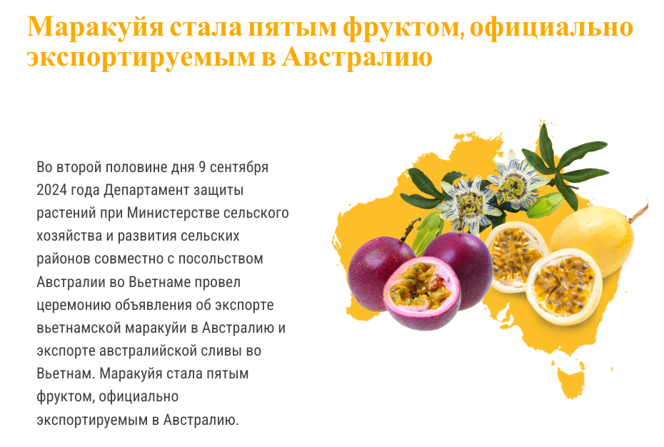 Маракуйя стала пятым вьетнамским фруктом, официально экспортируемым в Австралию