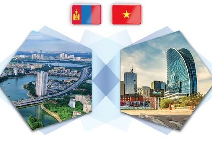 Отношения традиционной дружбы между Вьетнамом и Монголией