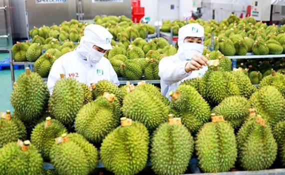 Новый рекорд по экспорту овощей и фруктов