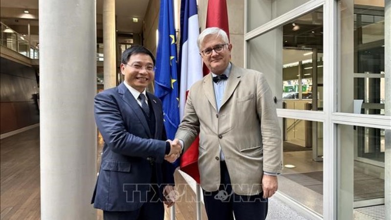 Содействие сотрудничеству между Вьетнамом и Францией во многих областях