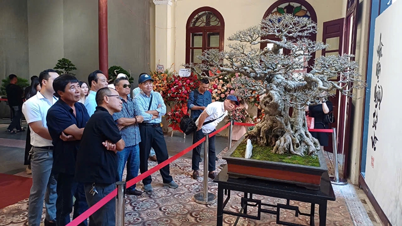 Выставка бонсай, посвященная 70-летию освобождения столицы