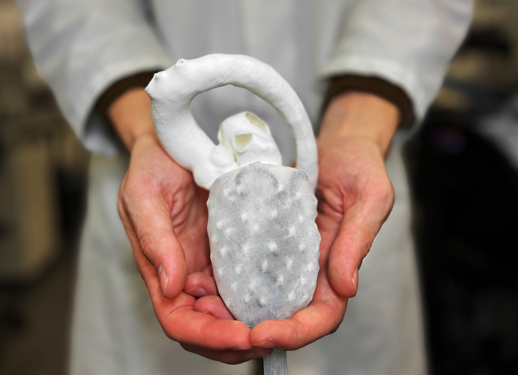 Учёный вьетнамского происхождения создал искусственное сердце с параметрами, идентичными человеческому