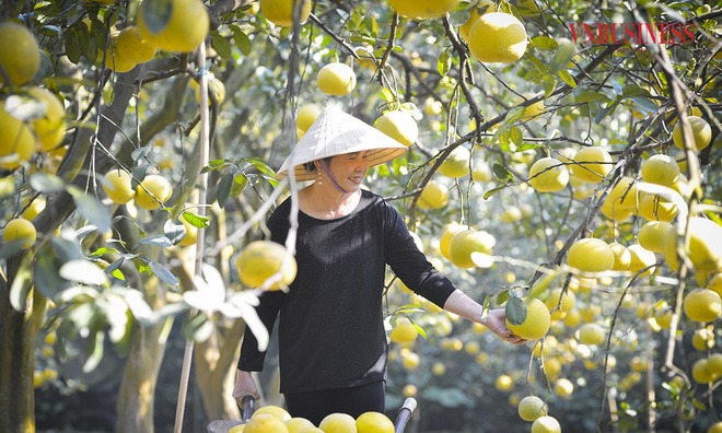 Ханой досрочно снизил уровень безработицы до уровня ниже 3