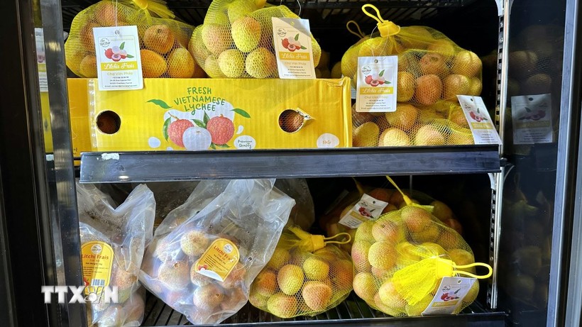 Активизация сотрудничества между населенными пунктами Вьетнама и Италии