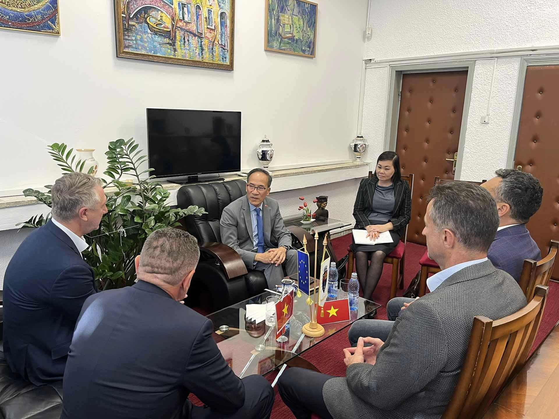 Содействие сотрудничеству между Вьетнамом и румынским городом Питешть