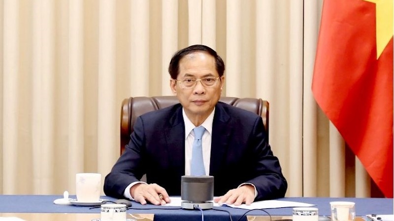 Вице-премьер, Министр иностранных дел Буй Тхань Шон провел телефонный разговор с Министром иностранных дел Японии