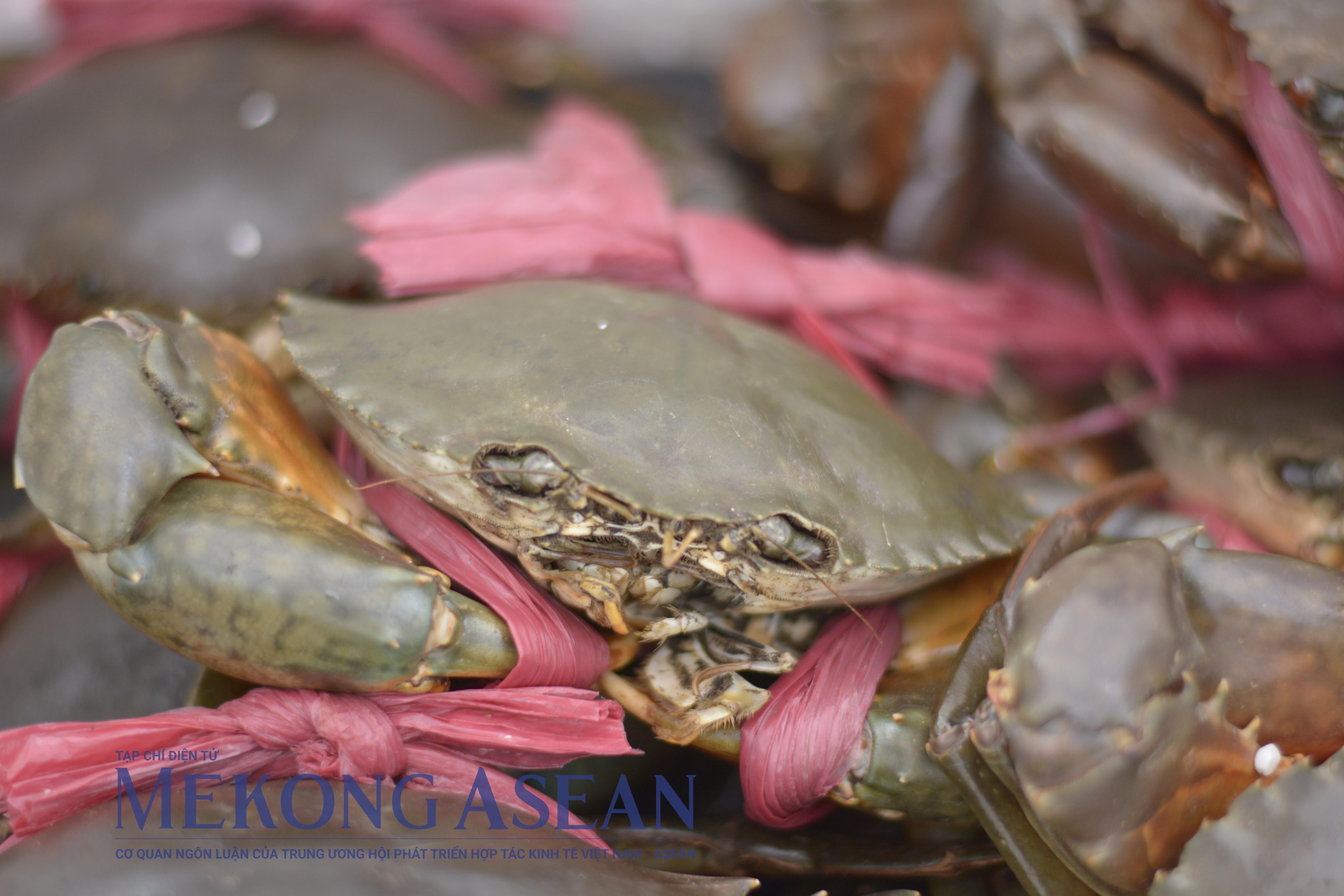 Китай стал крупнейшим экспортным рынком вьетнамских морепродуктов