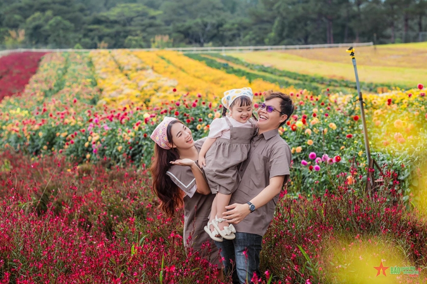 Фестиваль цветов в Далате начнется в декабре