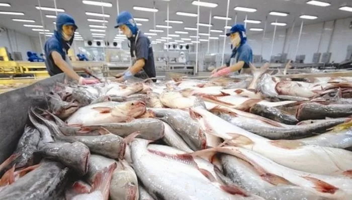 Экспорт вьетнамского пангасиуса на рынок Ирака демонстрирует положительную динамику