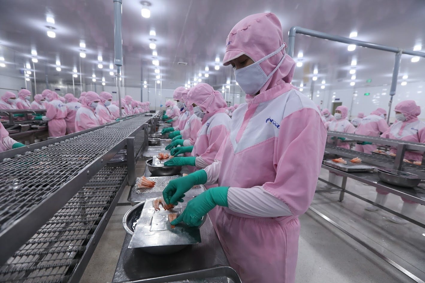 Положительное сальдо торгового баланса 6 продуктов сельского, лесного и рыбного хозяйства превысил 1 миллиард долларов США