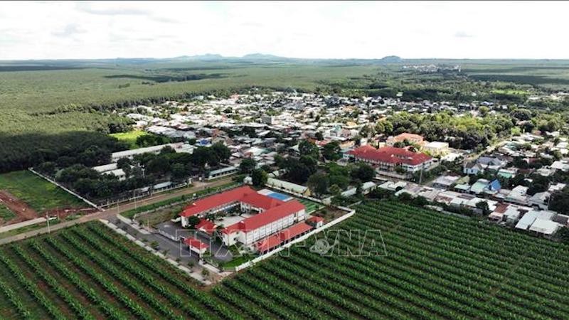 Реструктуризация экономики восточной части Южного Вьетнама в современном направлении