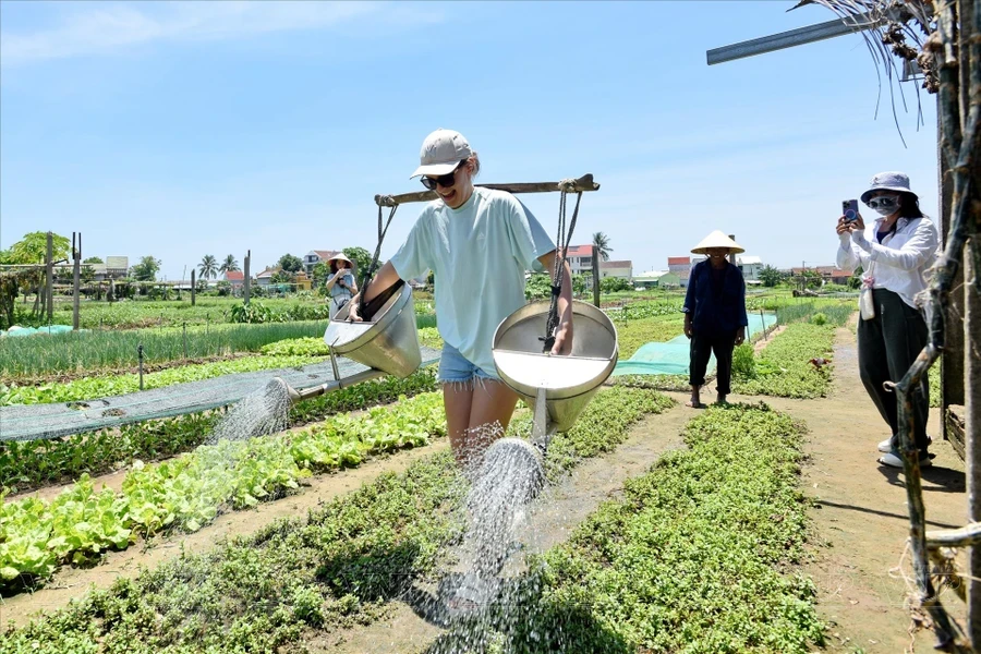 Иностранные туристы с удовольствием занимаются сельским хозяйством в овощной деревне Чакуэ