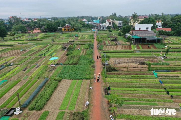 Деревня овощей Ча Куэ в Хойане вошла в список «Лучших туристических деревень мира»