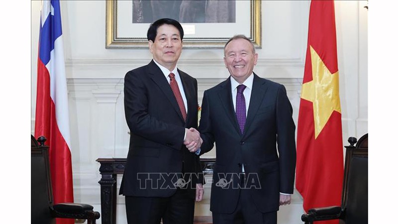 Президент Вьетнама встретился с Председателем Сената Чили